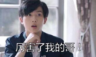 李宏毅表情包图片,笑点满满，表情包界的“开心果”