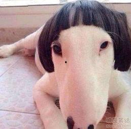 嘿嘿嘿搞笑图片,笑出腹肌！嘿嘿嘿搞笑图片大盘点