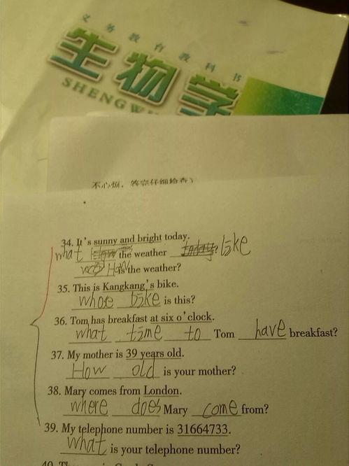 照片档案总说明怎么写,穿越时光的视觉记忆