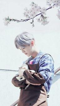 陆地夫妇 约吧大明星文,约吧大明星演绎浪漫爱情故事