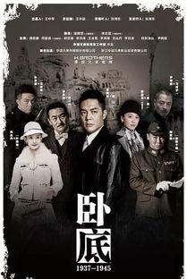 卧底电视剧演员表简介